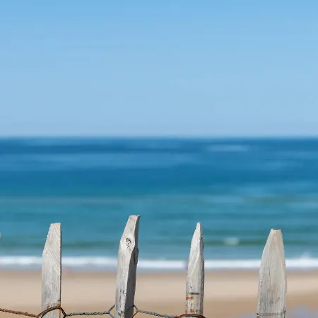 Daire Vagues & Bord De *