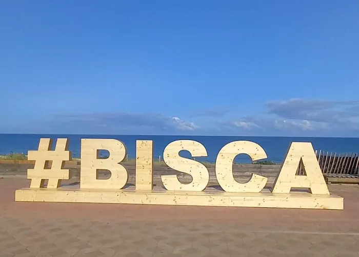 Vagues & Bord De Biscarrosse